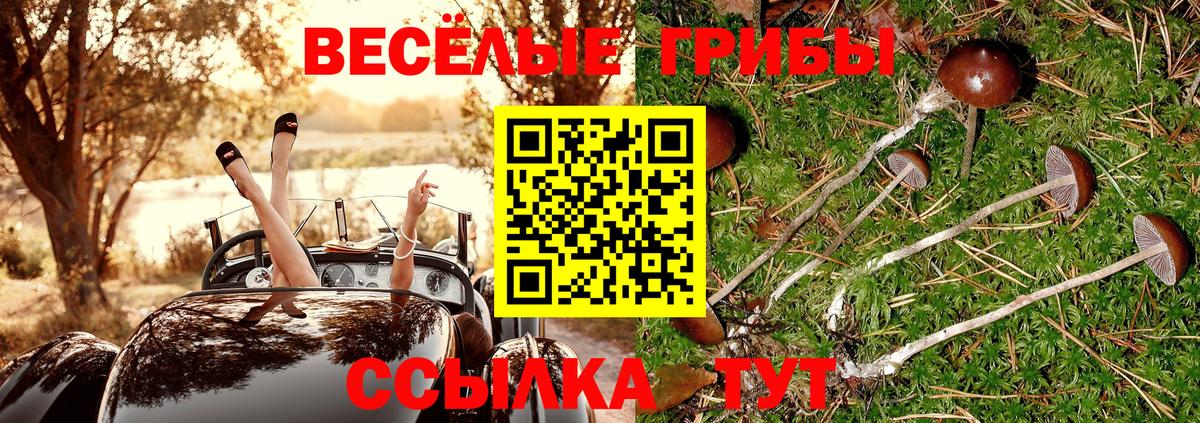 Псилоцибиновые грибы Magic Shrooms Камышлов